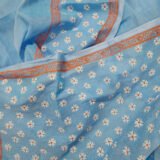 Sheuli - শিউলি