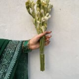Banolata - বনলতা